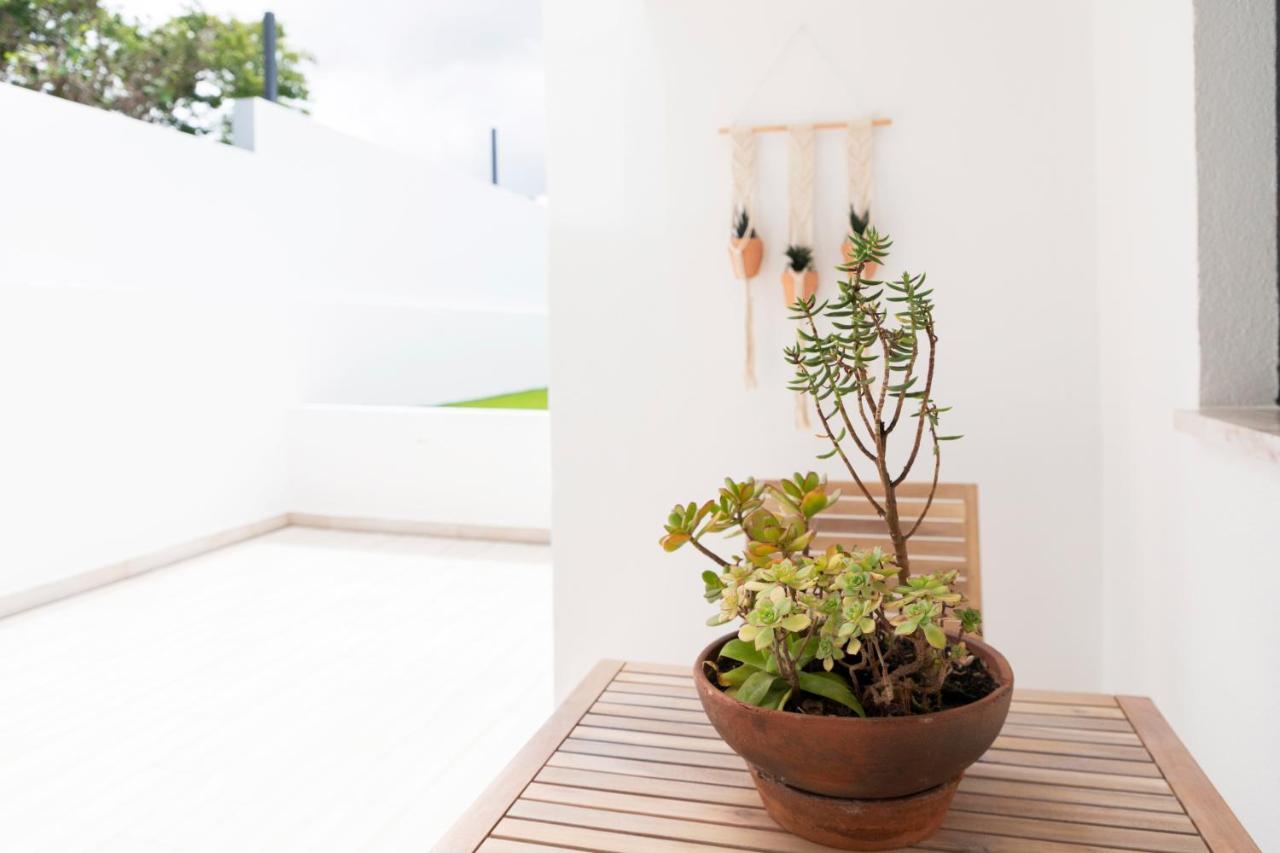 Casa Da Granja Apartment Aveiro Ngoại thất bức ảnh
